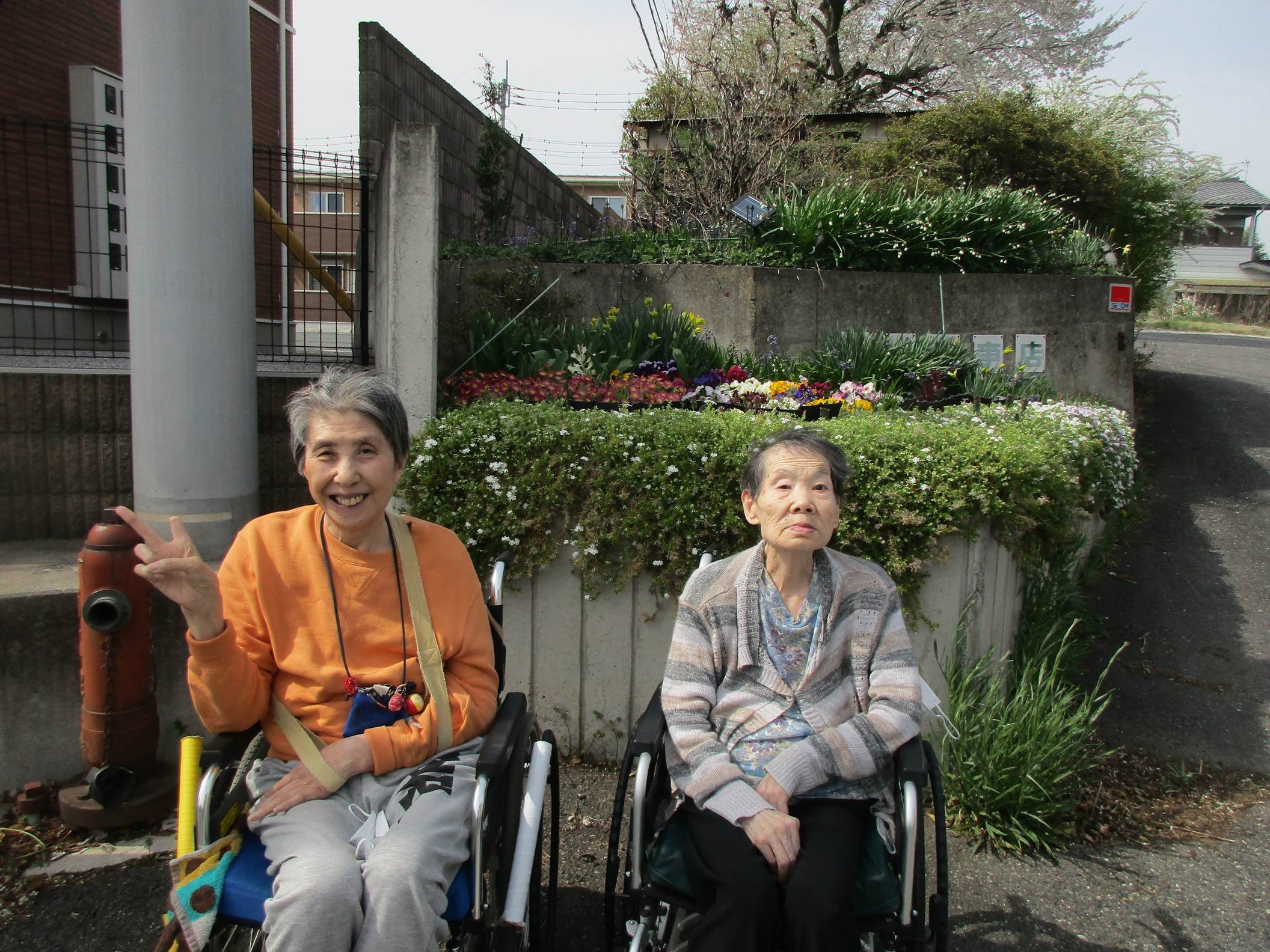 「アースケア沼田　利根の里」お花見🌸