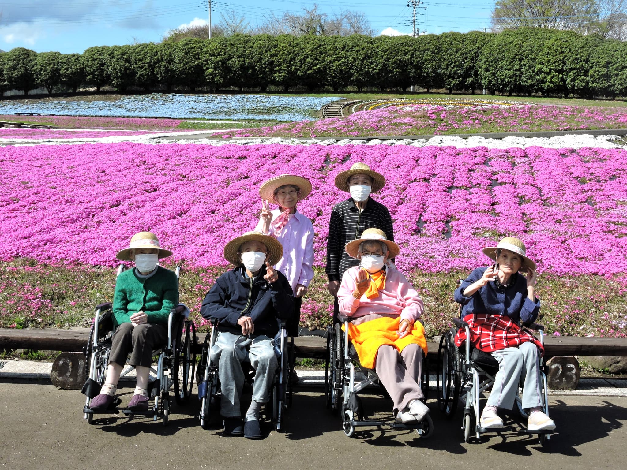 「アースケア高崎　芝桜の里」芝桜公園散策②