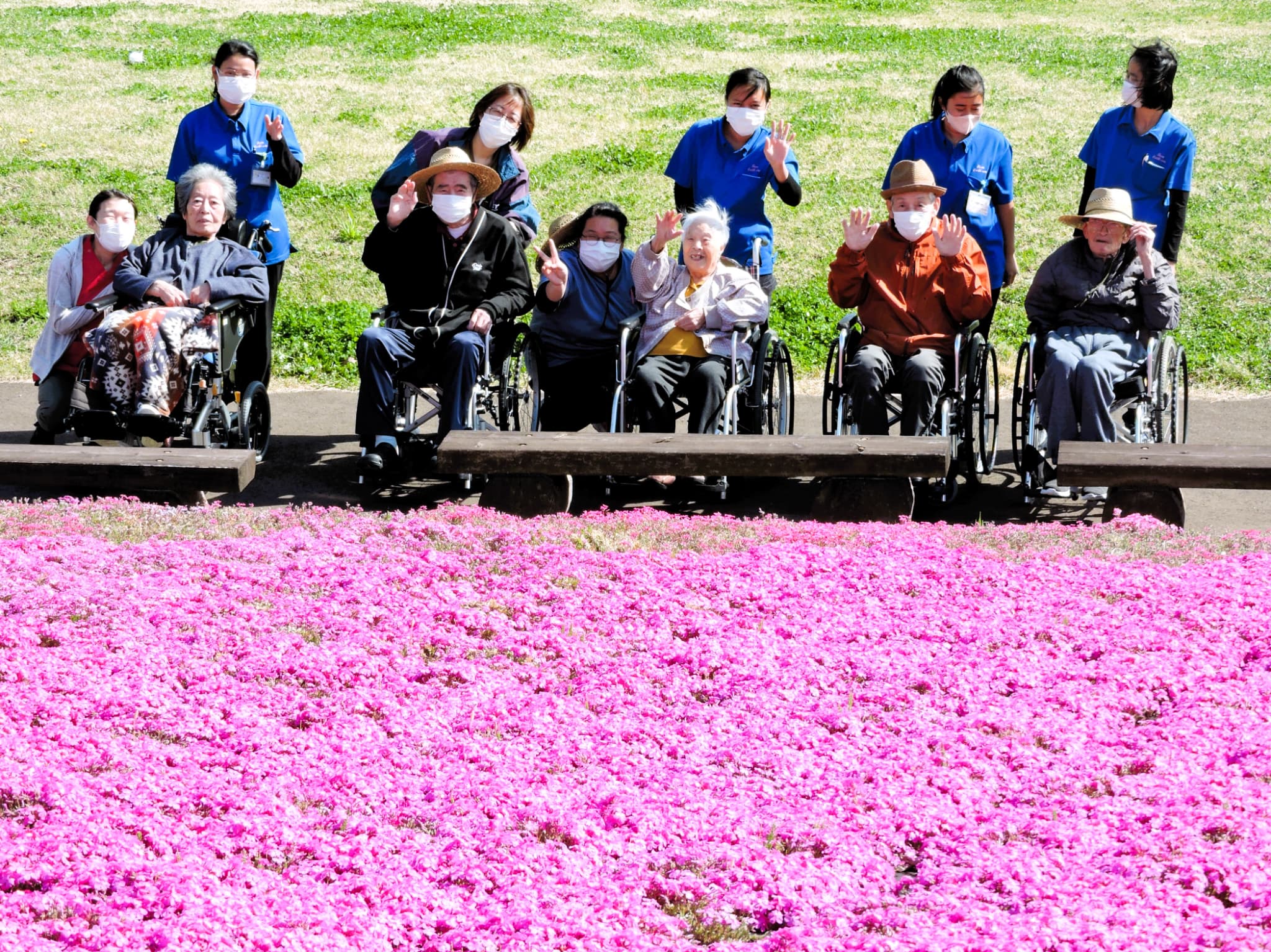 「アースケア高崎　芝桜の里」芝桜公園散策③