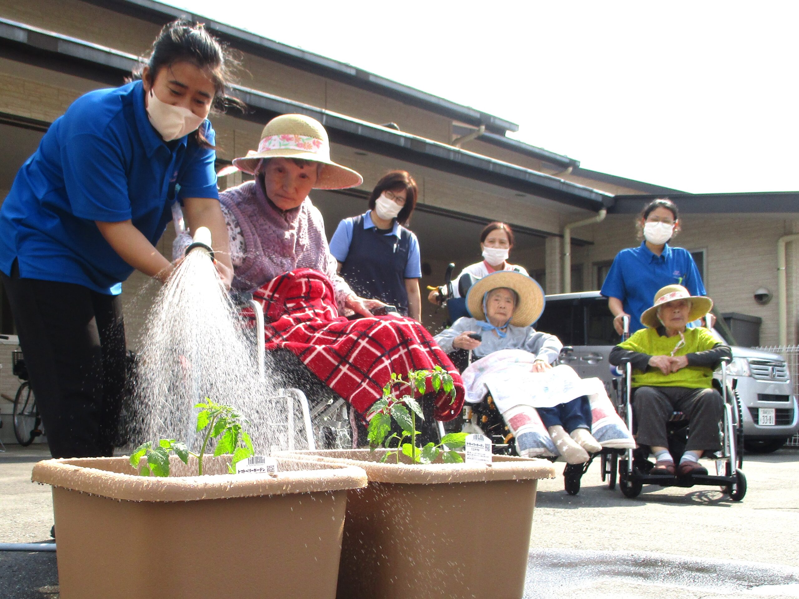 「アースケア高崎　芝桜の里」芝桜農園を開始しました！