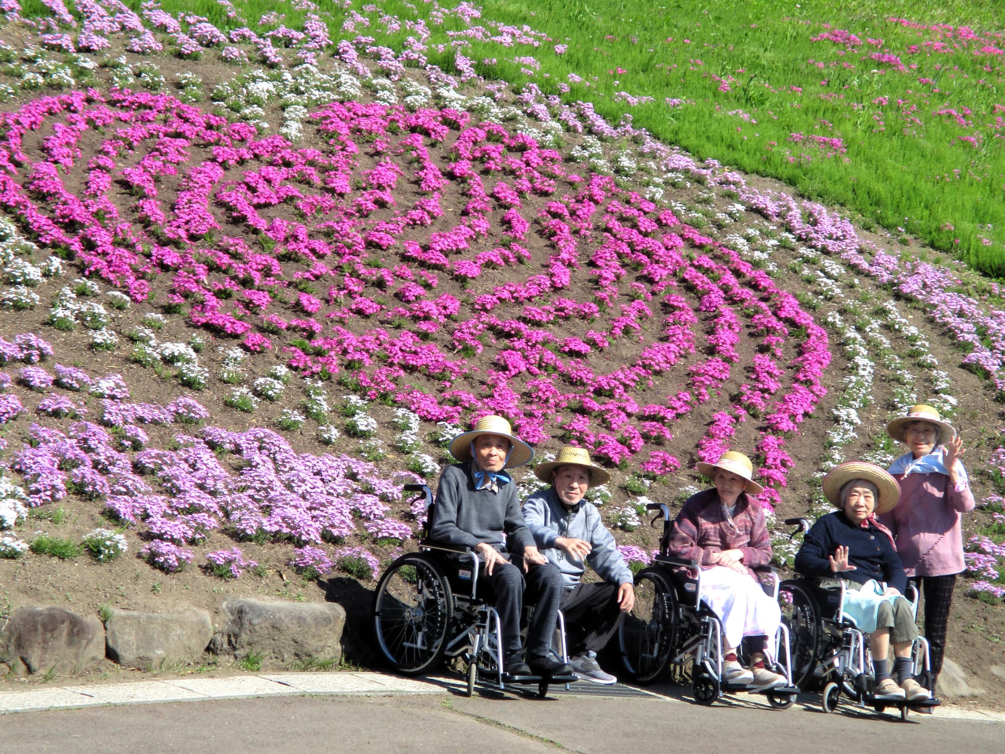 「アースケア高崎　芝桜の里」芝桜公園散策⑧