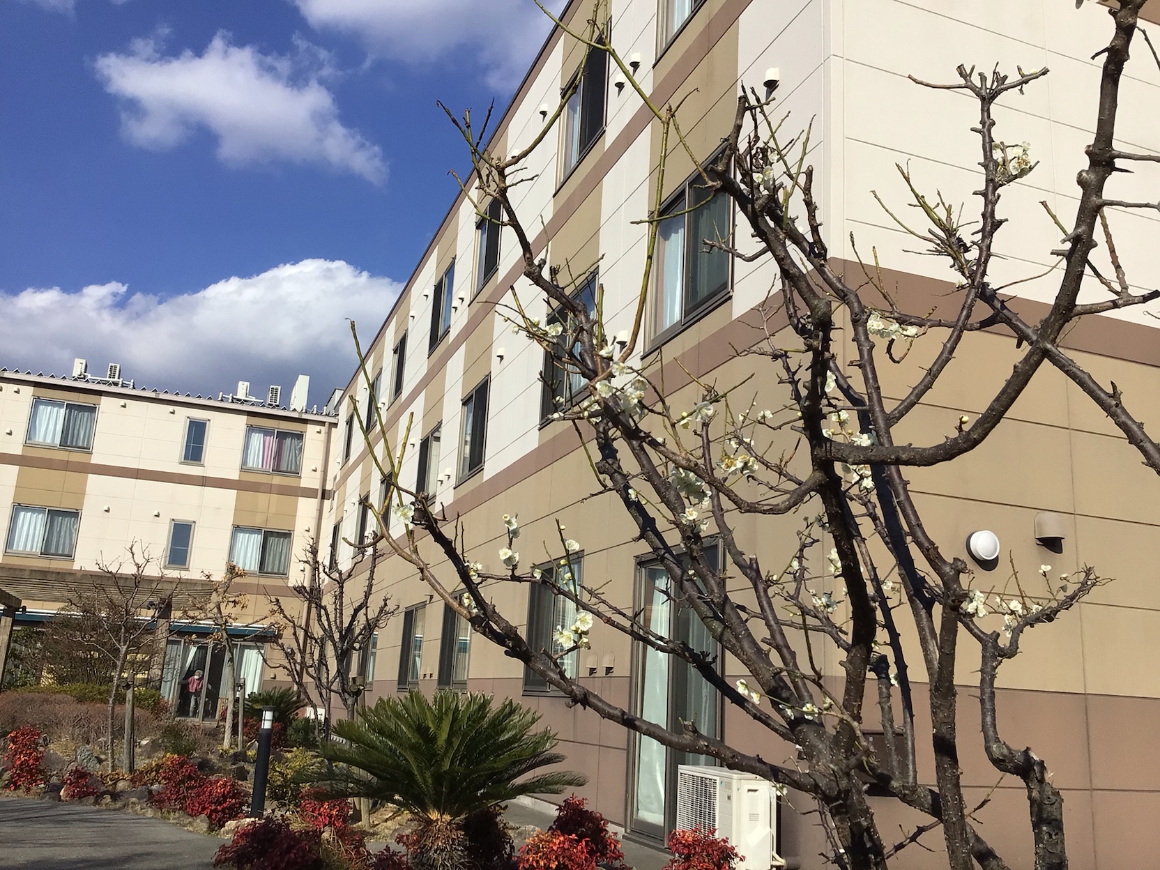 「アースケア豊川　やすらぎの里」東風吹かば