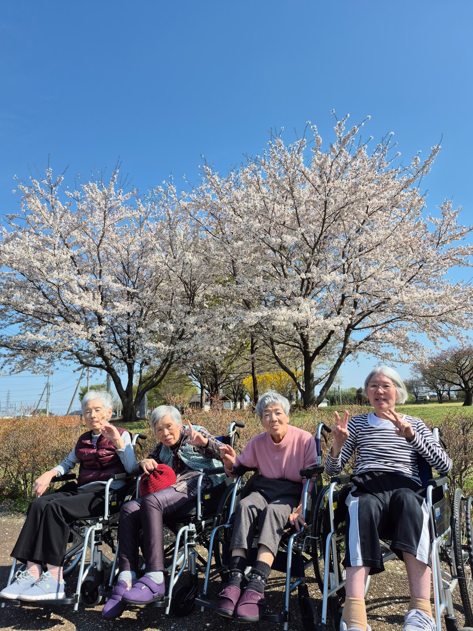 「PDビレッジなかお（なかおの里）」お花見🌸