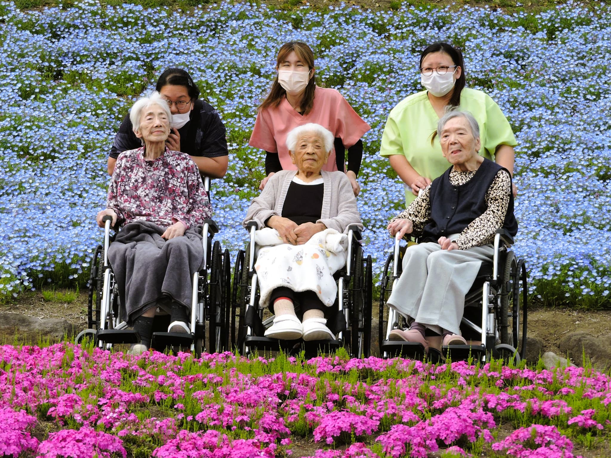「アースケア高崎　芝桜の里」芝桜公園散策③
