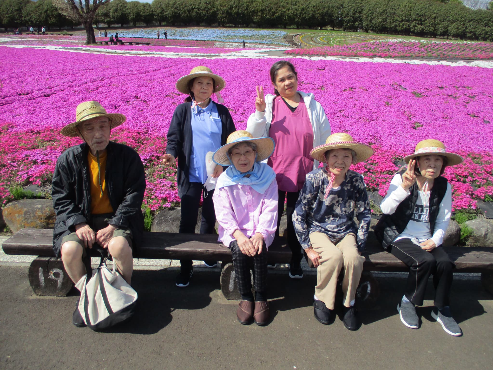 「アースケア高崎　芝桜の里」芝桜公園散策①