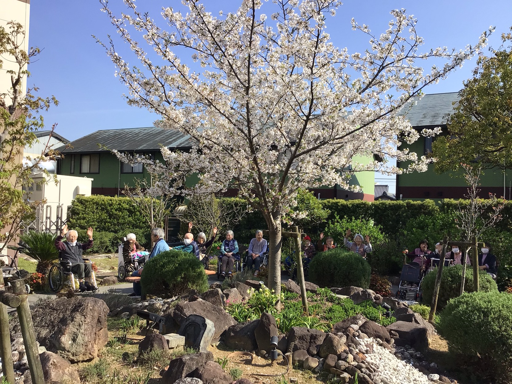 「アースケア豊川　やすらぎの里」桜満開！笑顔も満開‼︎
